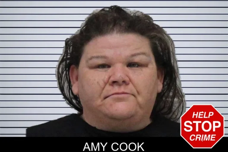 Amy Cook