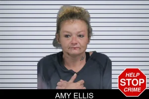 Amy Ellis mugshot