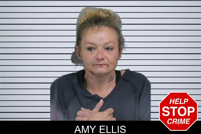 Amy Ellis mugshot