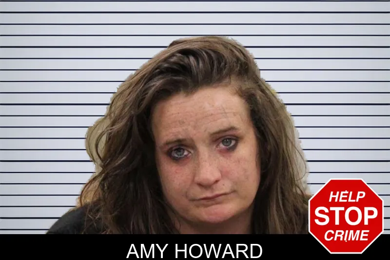 Amy Howard mugshot