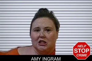 Amy Ingram mugshot