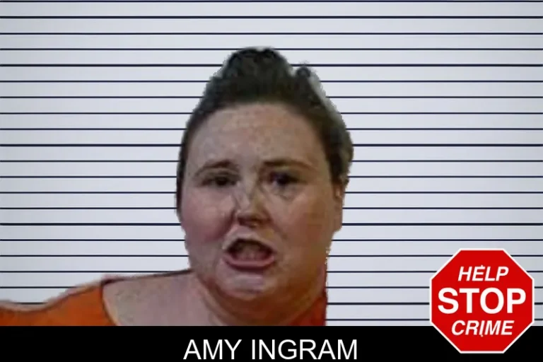 Amy Ingram