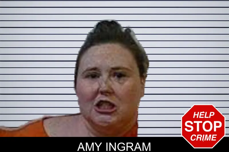 Amy Ingram mugshot