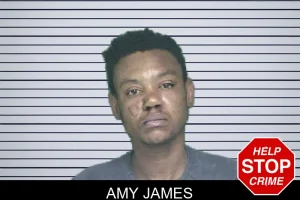 Amy James mugshot