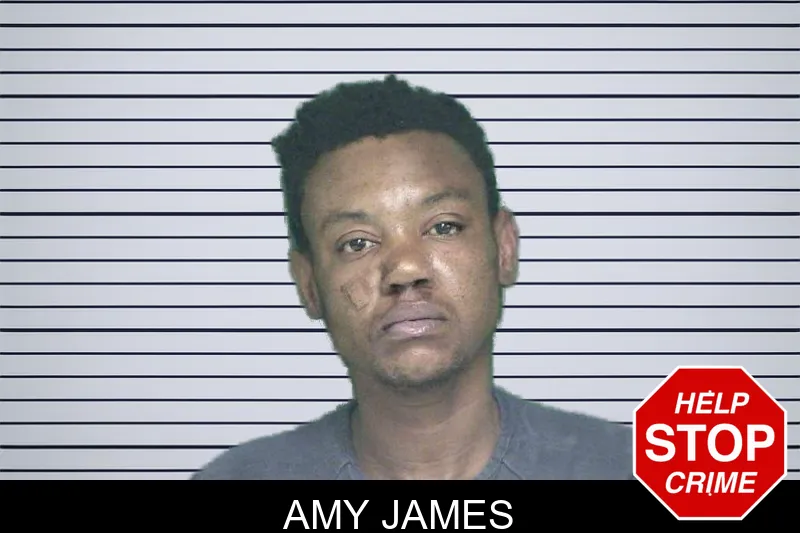 Amy James mugshot