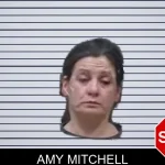 Amy Mitchell mugshot