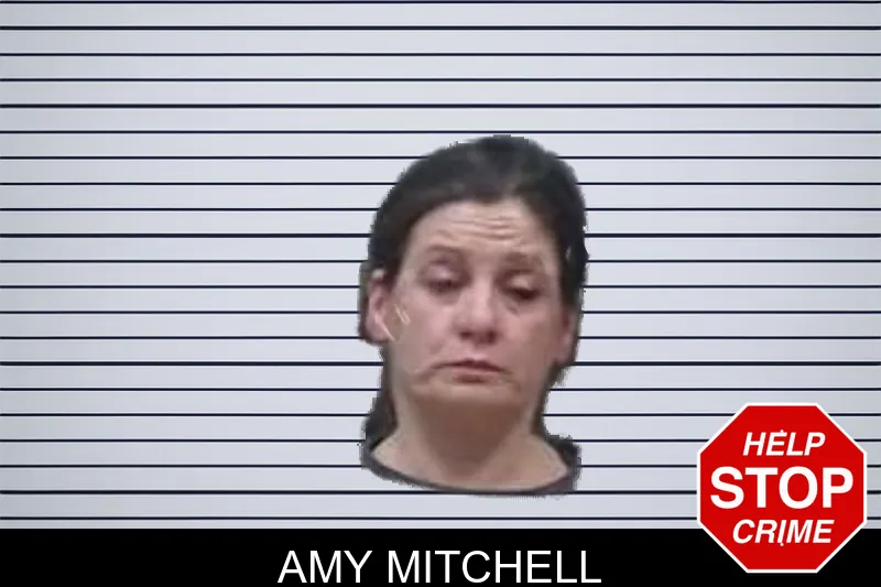 Amy Mitchell mugshot