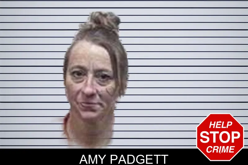 Amy Padgett mugshot