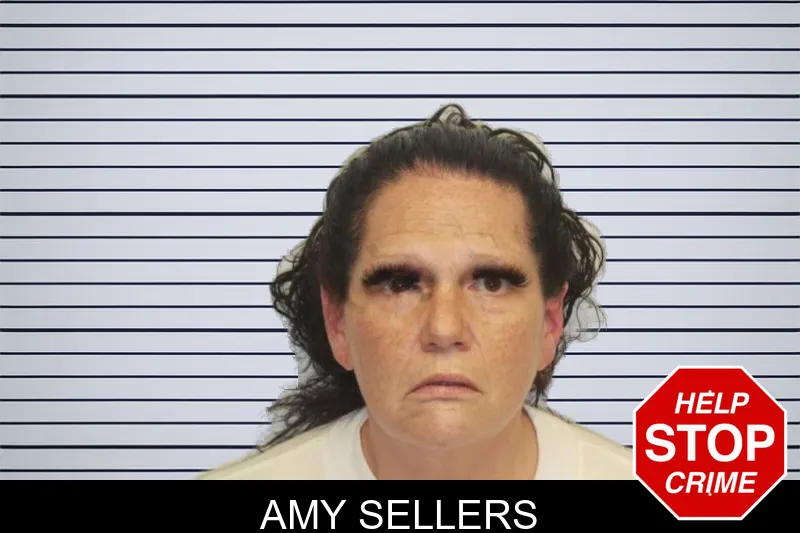 Amy Sellers mugshot
