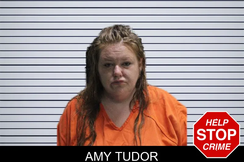 Amy Tudor mugshot