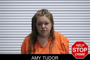 Amy Tudor mugshot