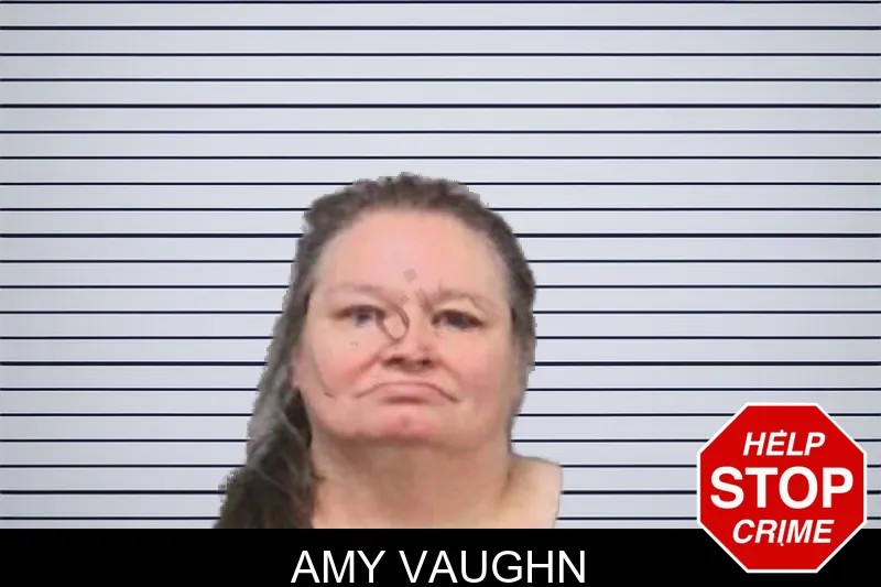 Amy Vaughn mugshot – White County , Georgia Amy Vaughn mugshot