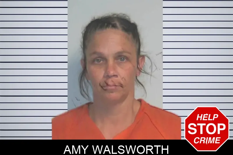 Amy Walsworth mugshot