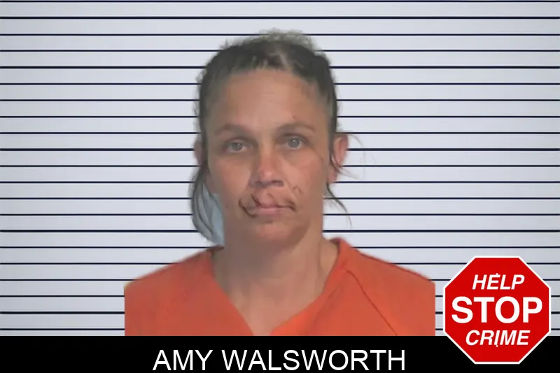 Amy Walsworth mugshot