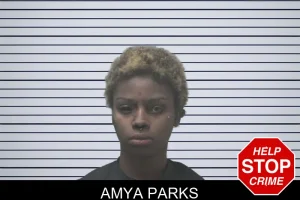Amya Parks mugshot