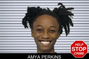 Amya Perkins mugshot