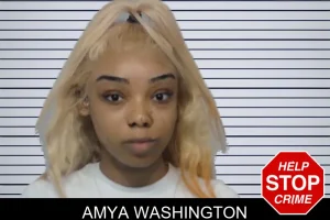 Amya Washington mugshot