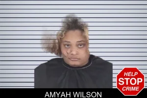 Amyah Wilson mugshot
