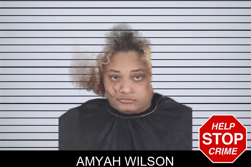 Amyah Wilson mugshot