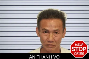 An Thanh Vo mugshot