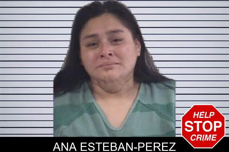 Ana Esteban-Perez mugshot