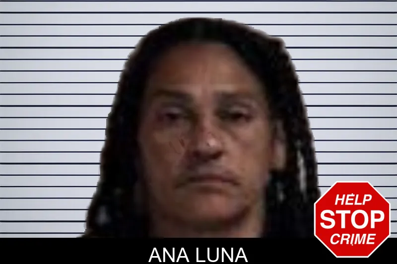 Ana Luna mugshot