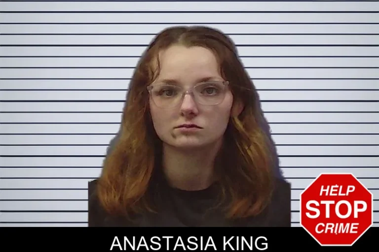 Anastasia King mugshot – Chattooga County , Georgia Anastasia King