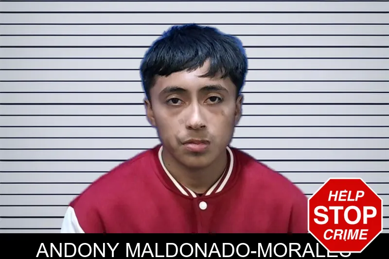 Andony Maldonado-Morales mugshot