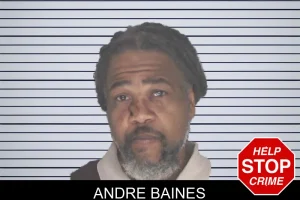 Andre Baines mugshot