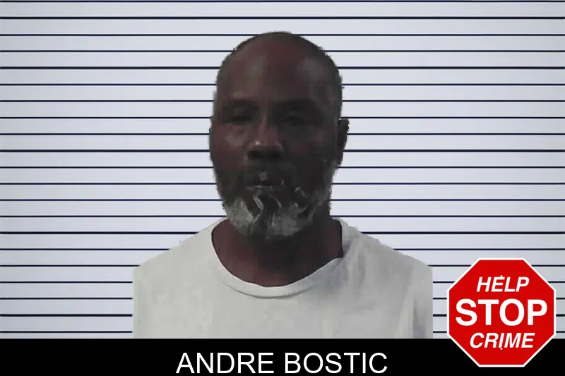 Andre Bostic mugshot