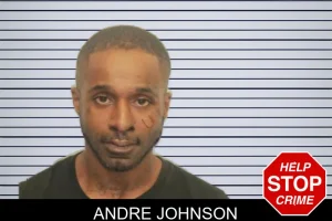 Andre Johnson mugshot