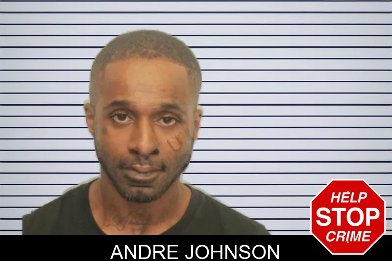 Andre Johnson mugshot