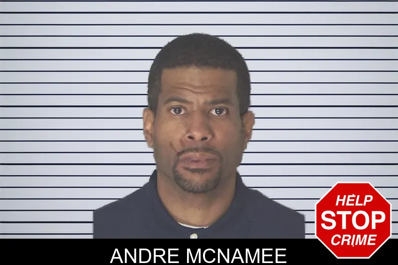 Andre McNamee mugshot