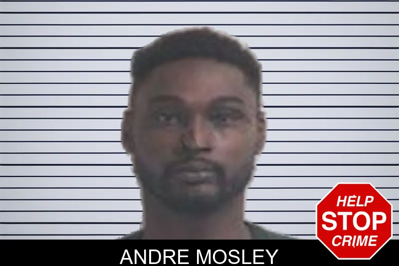 Andre Mosley mugshot