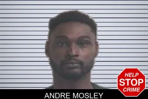 Andre Mosley mugshot