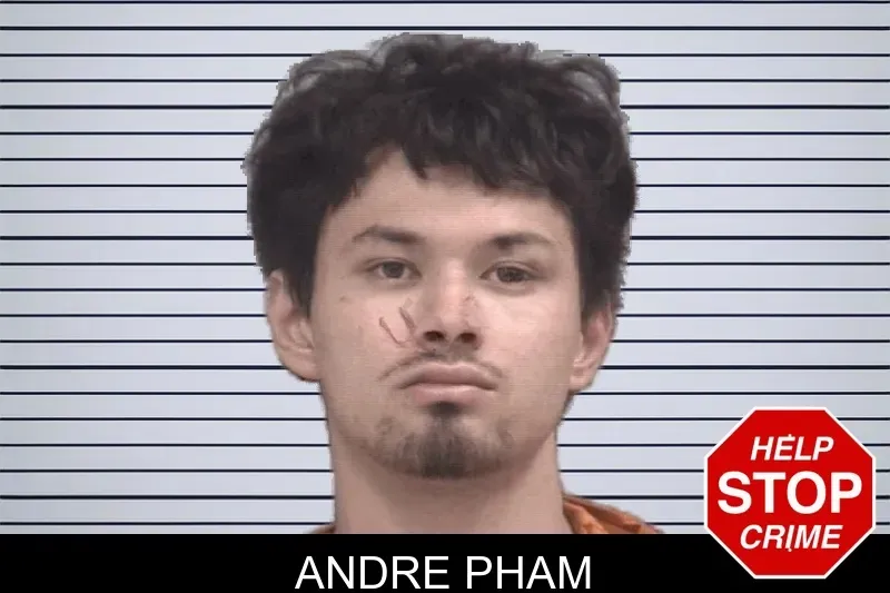 Andre Pham mugshot