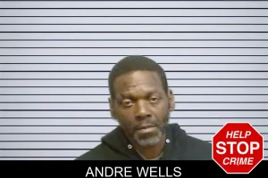 Andre Wells mugshot