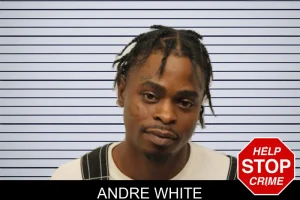 Andre White mugshot
