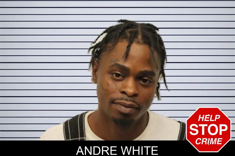 Andre White mugshot