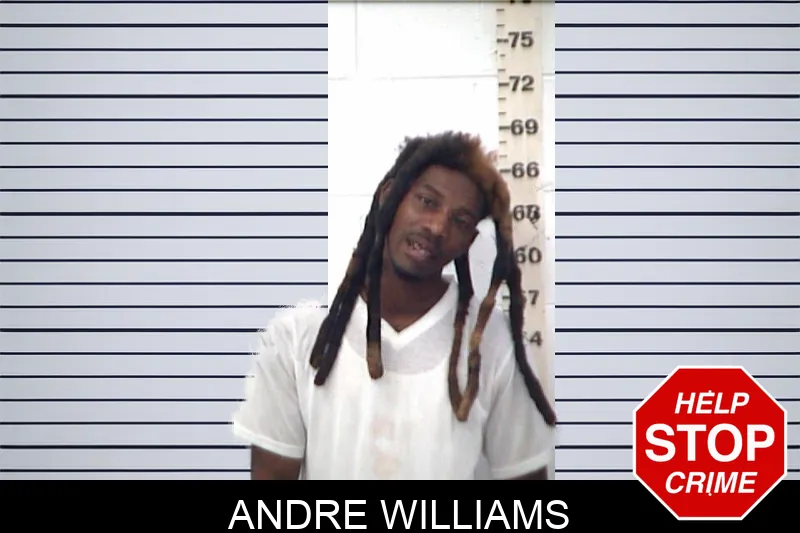 Andre Williams mugshot