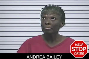 Andrea Bailey mugshot