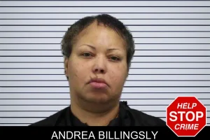 Andrea Billingsly mugshot