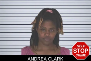 Andrea Clark mugshot