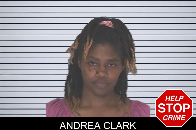 Andrea Clark mugshot