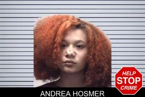 Andrea Hosmer mugshot