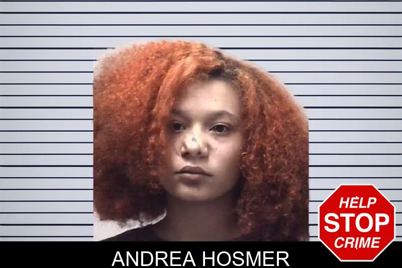 Andrea Hosmer mugshot