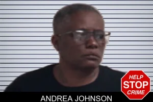 Andrea Johnson mugshot