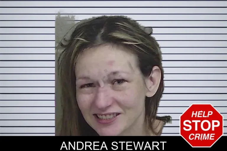 Andrea Stewart mugshot – Wayne County , Georgia Andrea Stewart