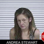 Andrea Stewart mugshot – Wayne County , Georgia Andrea Stewart mugshot