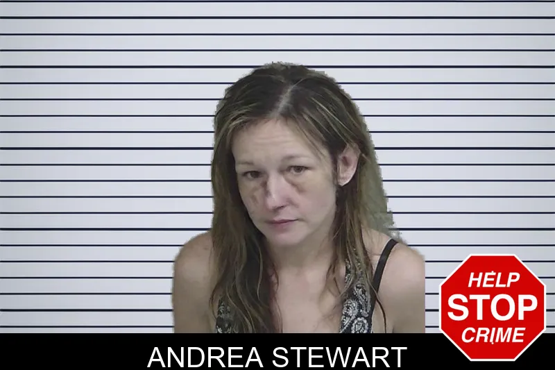 Andrea Stewart mugshot – Wayne County , Georgia Andrea Stewart mugshot